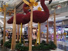 -凯德广场(学府店)