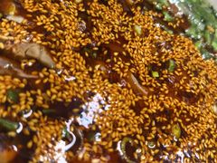 -撒哈达姆兰州辣子牛肉面(飞跃路店)