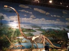 -自贡恐龙博物馆