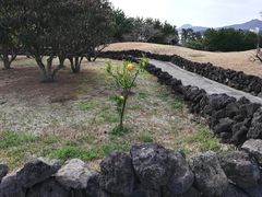 -柱状节理带