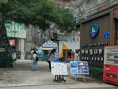 -贝壳梦幻世界