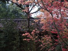 -望江楼公园