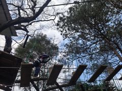 -芦仙山景区-飞越丛林探险乐园