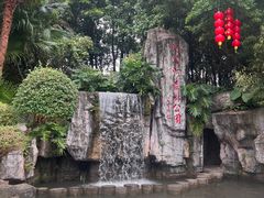 -广州市流溪河国家森林公园