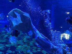 -石林冰雪海洋世界