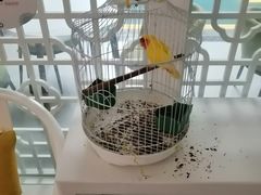 -嘉德美润儿童之家