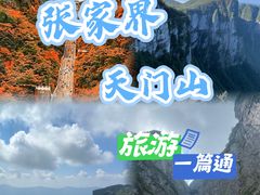 -张家界天门山国家森林公园