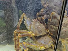 -鱼乐轩·俄罗斯海鲜直供餐厅(群力店)