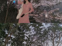 -小南山公园