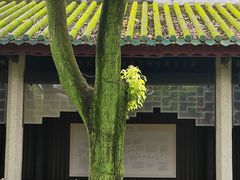 -南海神庙