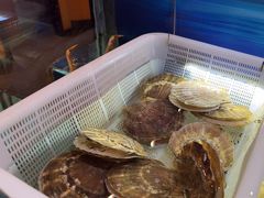 -千代武日本料理(爱建店)