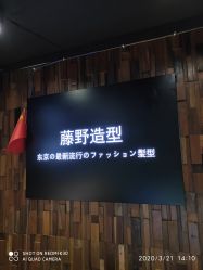 -藤野造型