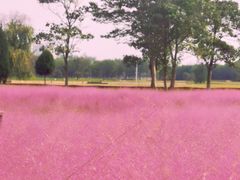 -汉长安城未央宫国家考古遗址公园