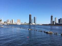 -海河外滩公园