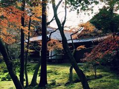 -西芳寺(苔寺)