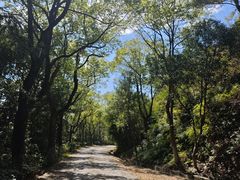 -宁波市保国寺古建筑博物馆