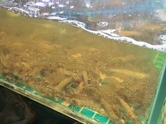 -面道赞宁海海鲜面(迎凤街店)