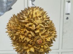 -家辉生鲜超市(东五路店)