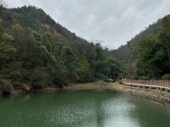 -桃花岭景区