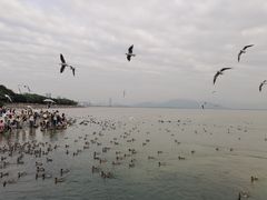 -深圳湾公园(南山区)