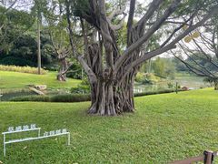 -云溪植物园