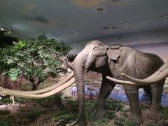 -湖南省地质博物馆