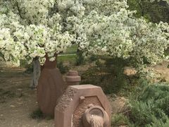-海棠花溪(元大都城垣遗址公园)