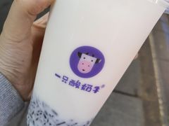 -一只酸奶牛(八一路店)