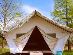 -上海海湾国家森林公园