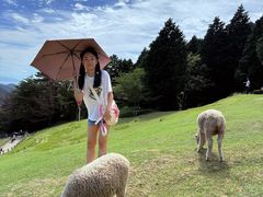 -神户市立六甲山牧场