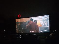 -枫花园汽车电影院(朝阳公园店)