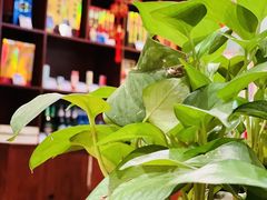 -春江饭店(共青团路总店)
