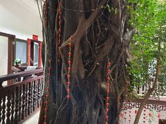 -南华寺素食馆(南华禅寺店)