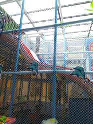 点击看大图 -小玩家儿童主题乐园(世茂广场店)