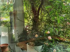 -春树下·树屋花房西餐厅(罍街AS1980店)