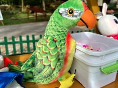 -亚龙湾喜来登·美景台大堂吧