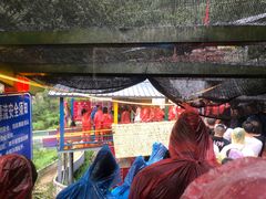 -野三坡刘家河高山漂流