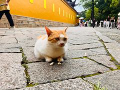 -西园寺素食(西园弄戒幢律寺店)