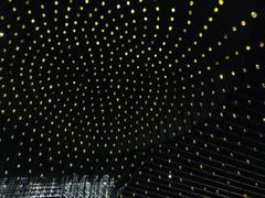 -君悦酒店·1881·北京烤鸭