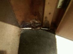 android_upload_pic-红栌温泉山庄生态美食餐厅