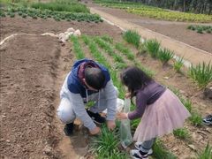 -前小桔亲子创意农场·草莓采摘·露营烧烤