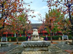 -北京石刻艺术博物馆(五塔寺)