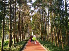 -上海长兴岛郊野公园