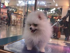 -乐宠宠物店(世纪金源店)