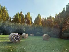 -禧宴Joyous Restaurant(禧园店)