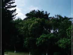 -厦门悦华酒店