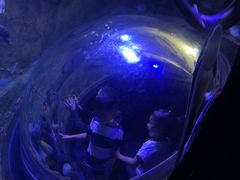 -成都浩海立方海洋公园