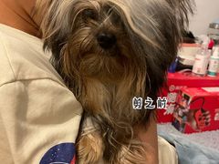 -爱宠屋pet shop·宠物洗澡·宠物美容