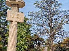 -洛阳古墓博物馆