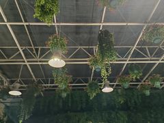 -天宫南铂玫瑰园酒店